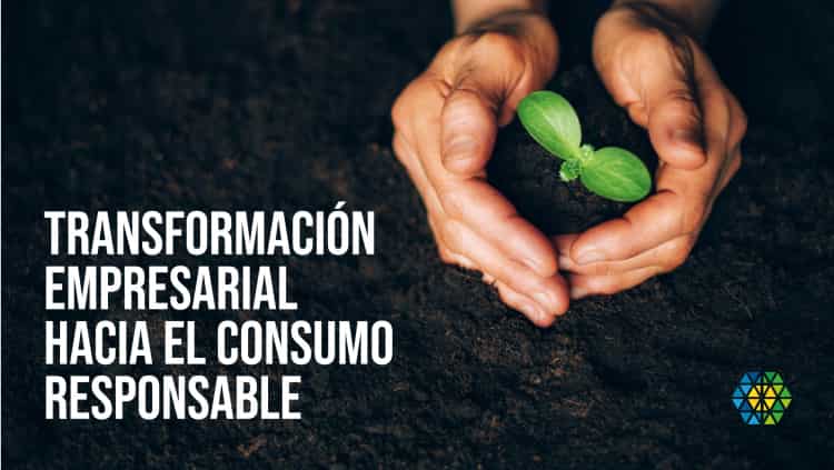 transformación empresarial hacia el consumo responsable