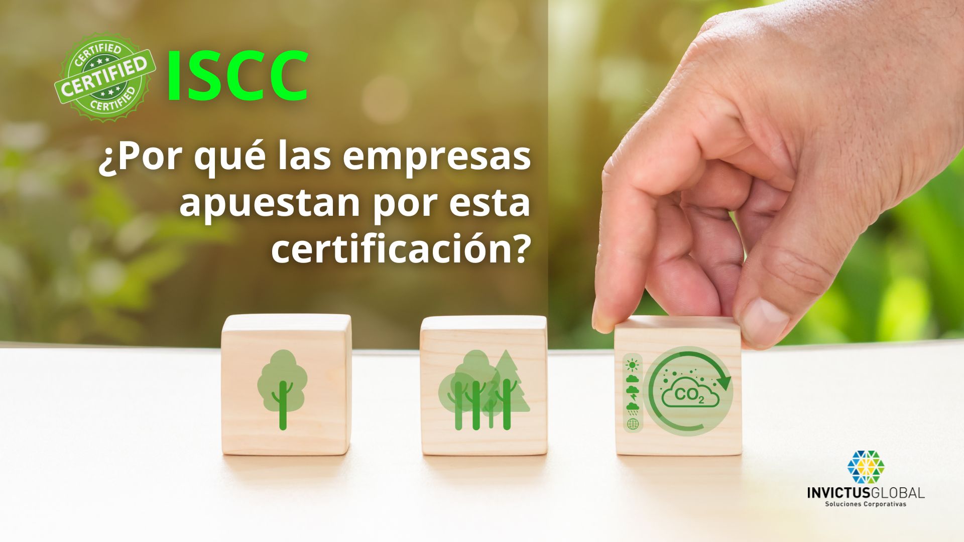 iscc plus, iscc, auditoria, consultoría, sustentabilidad
